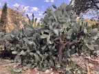 Ликийская тропа